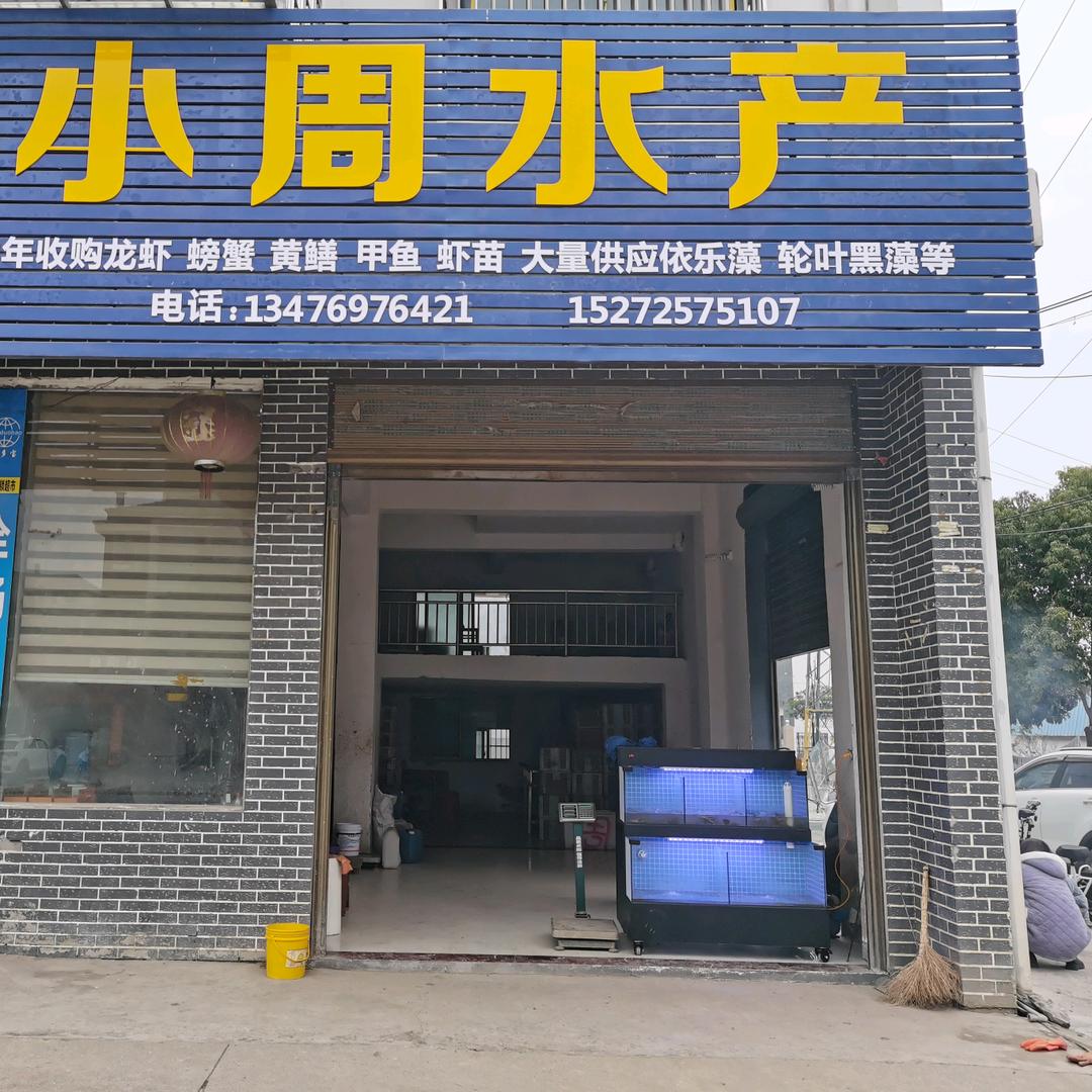 洪湖小龙虾 小周水产