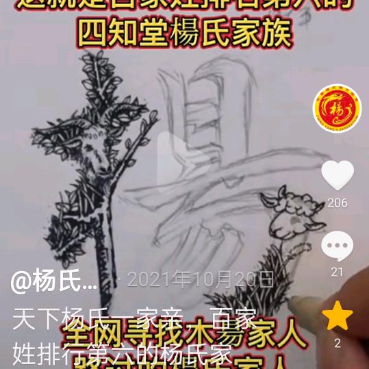 杨四哥