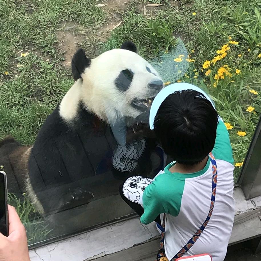 dl妞妞牛牛（归零重置）