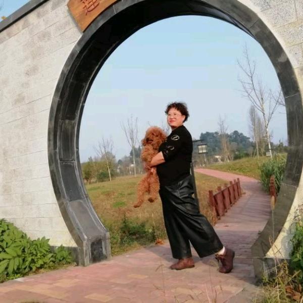 自由飞翔