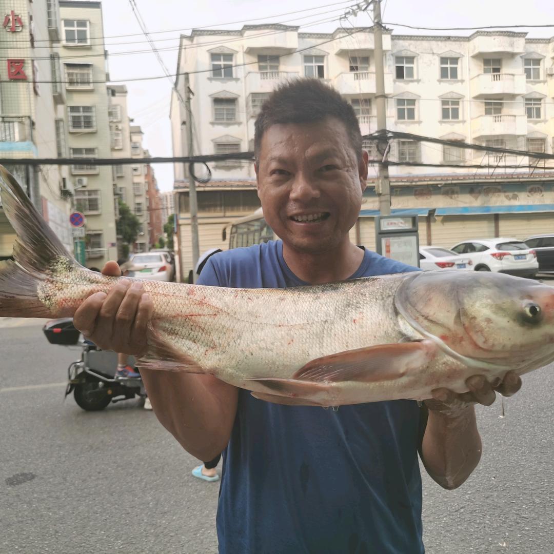 雷飞钓鱼