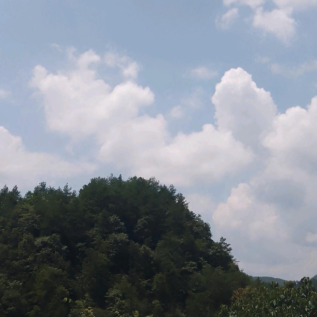 蓝蓝的天空