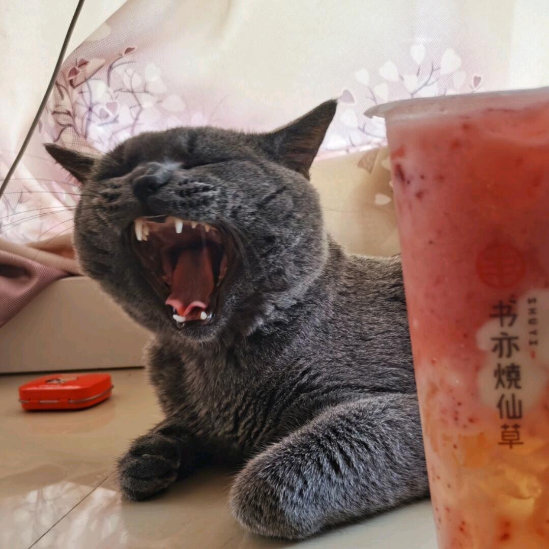 没头脑的高智商（高试调试）