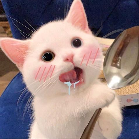 小狗给我摸