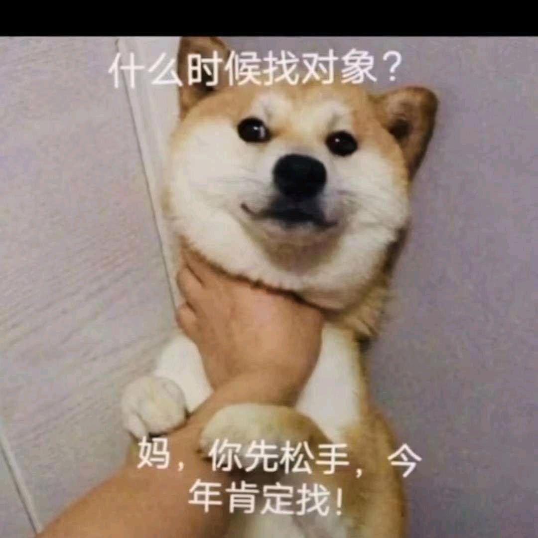 气氛营造者