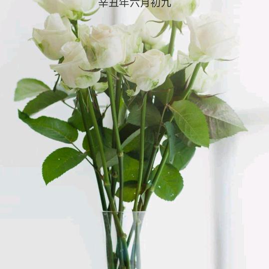 木子