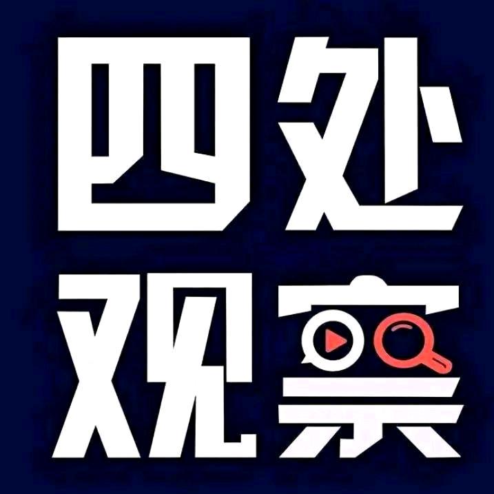 走走停停到处观察
