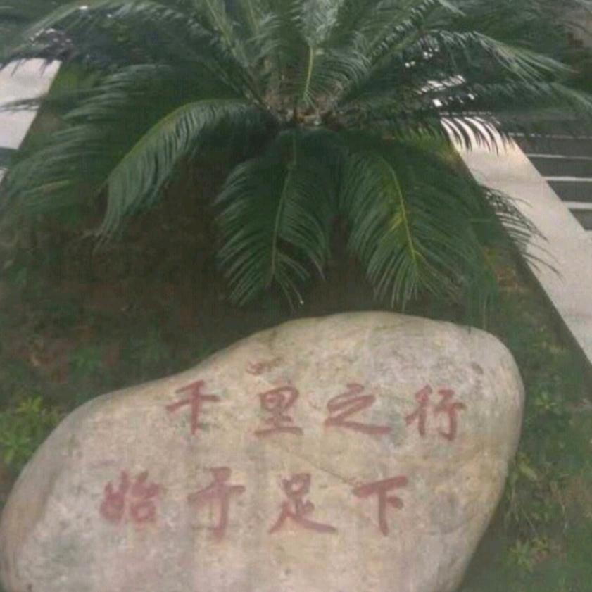 曲水无言