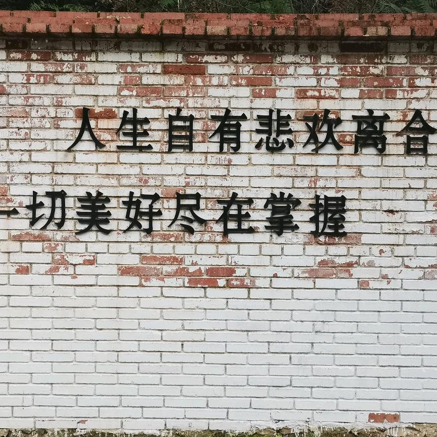 孙