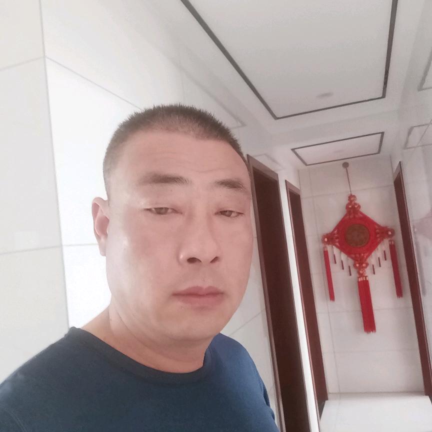 骑驴上飞机