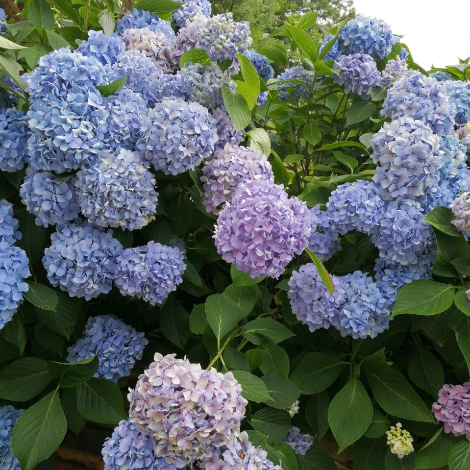 ☆bǎo★ジ幸福