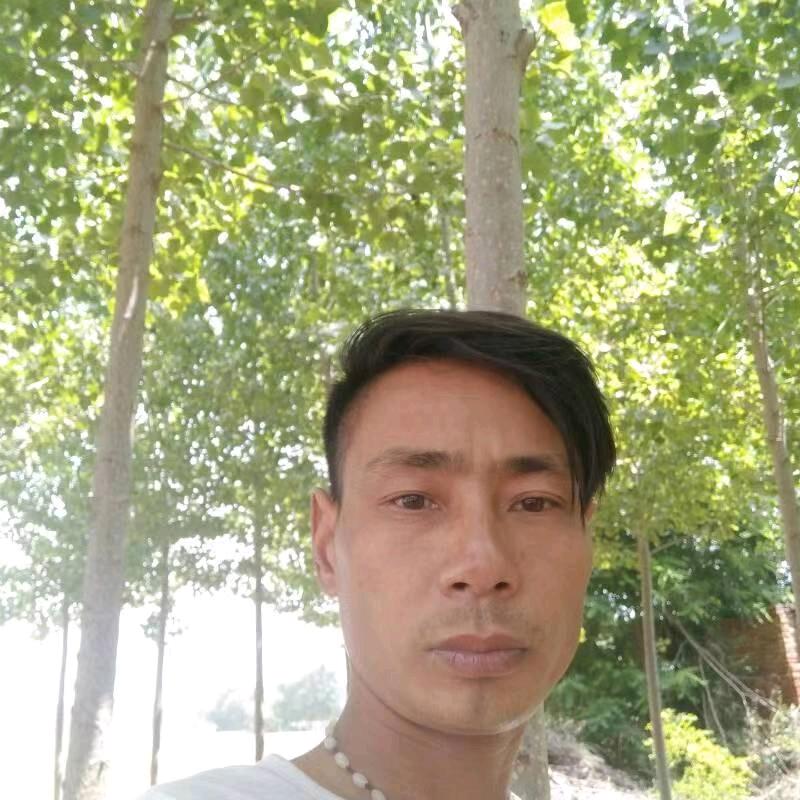 漫步人生