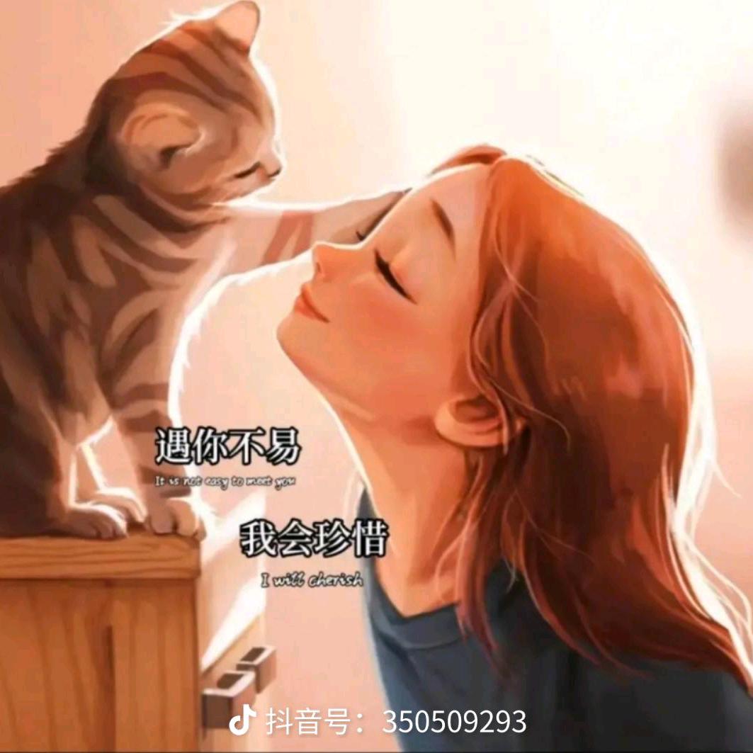 陌念（遗憾才是人生常态）