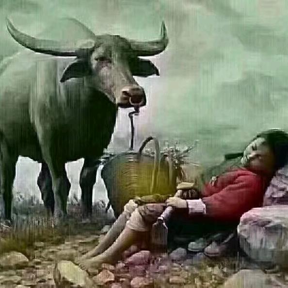 追梦人。