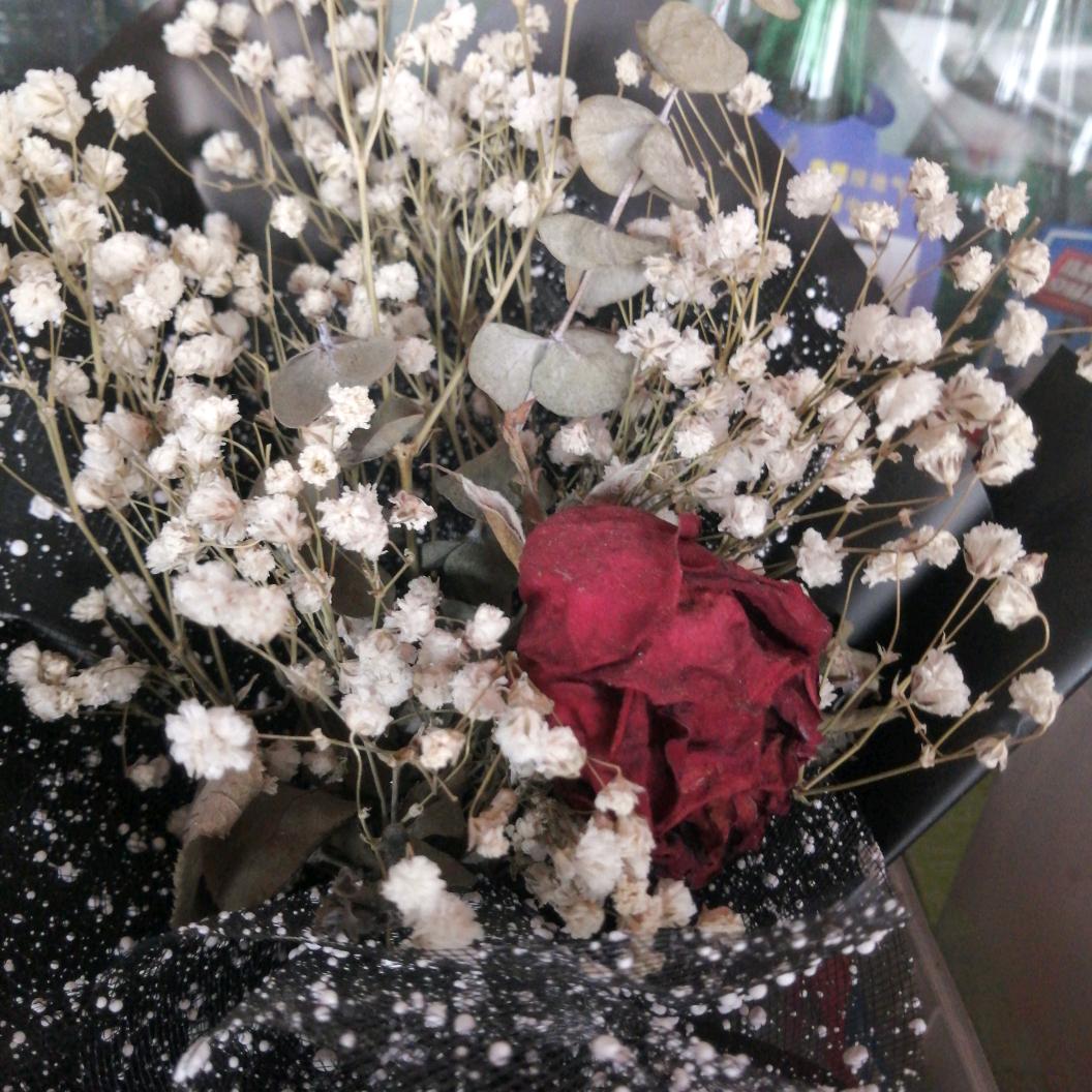李金芩