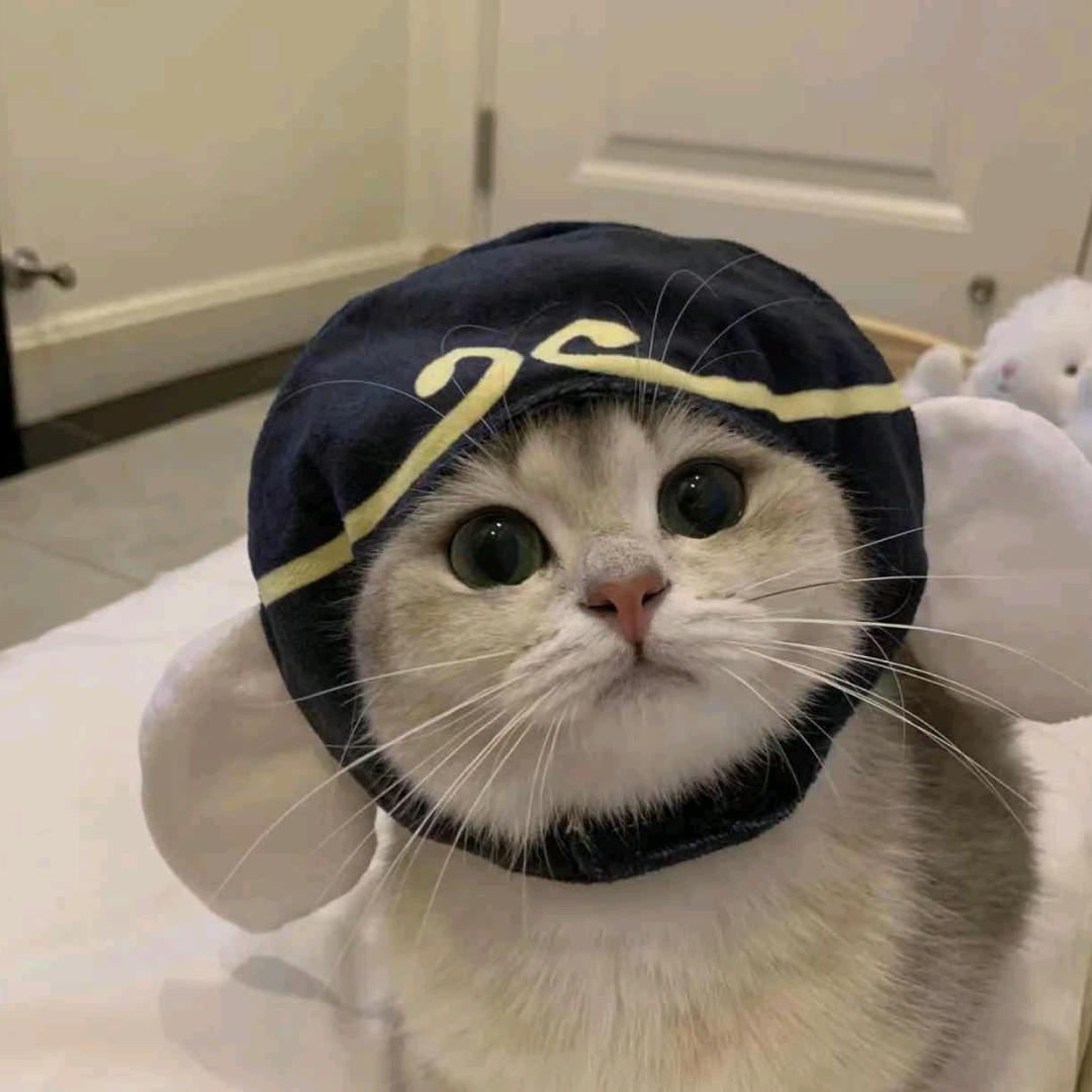 水鱼