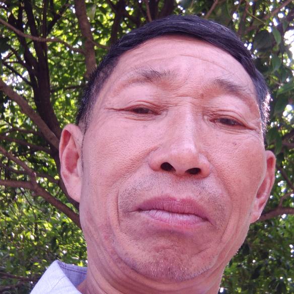 老有所乐老有所乐
