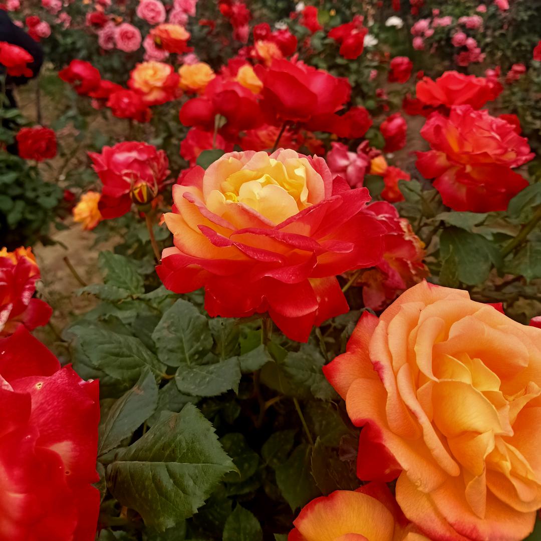 🥀₅²⁰💃余生有你足够🦹¹ᶟ₁₄