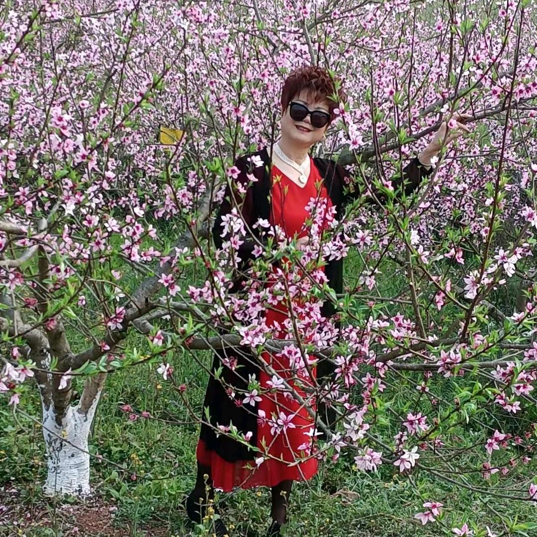 菊