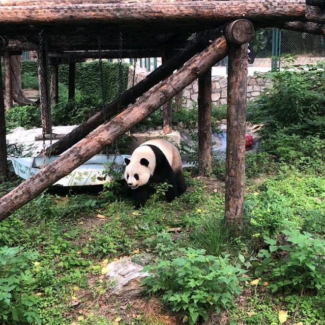 平乡镇文庙步行街乐丁便利店