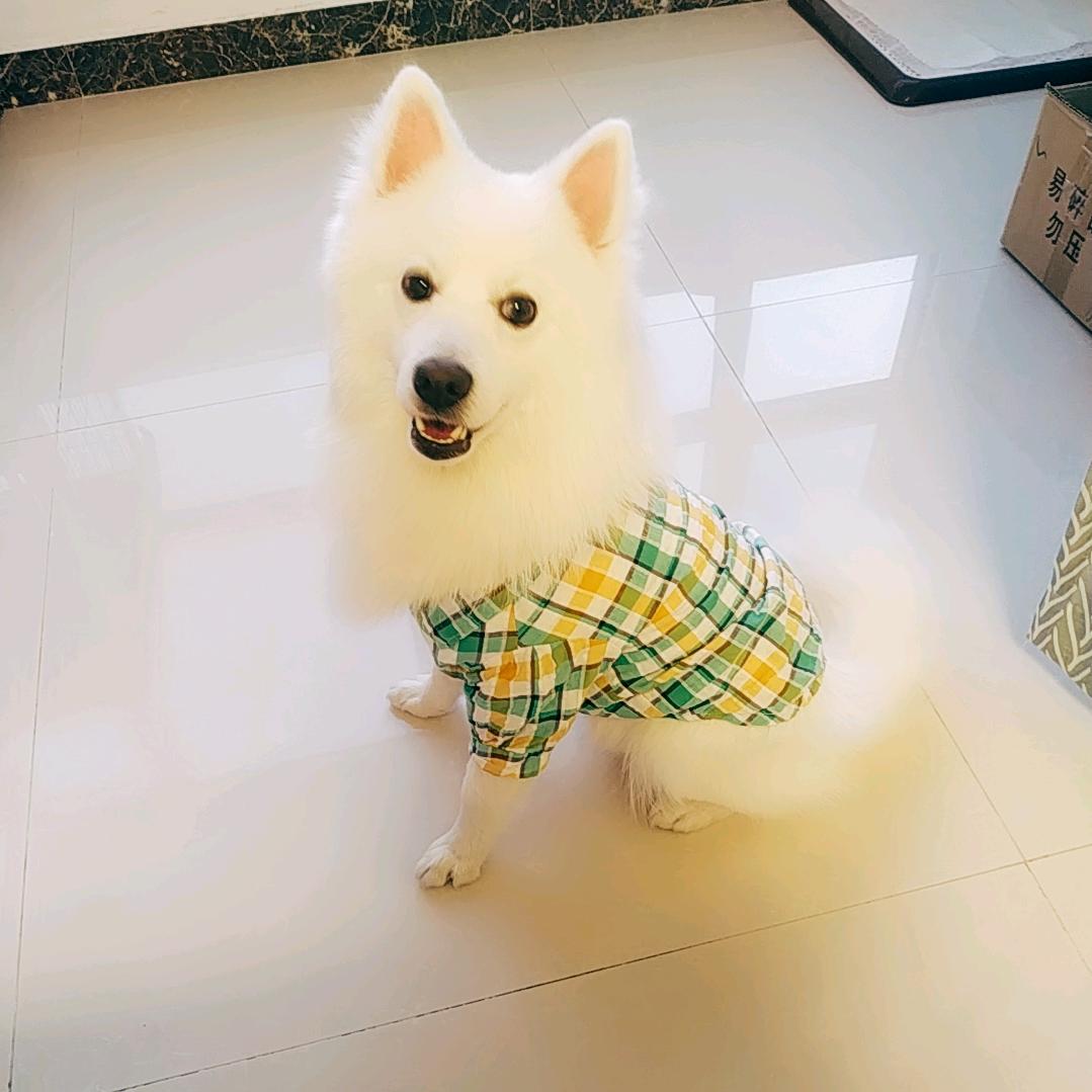 米粒小宝贝