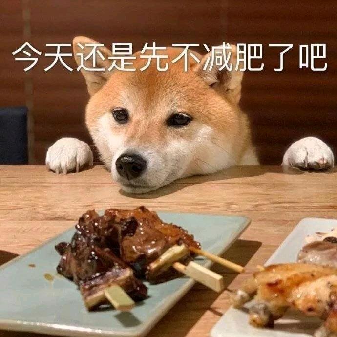 时光小偷