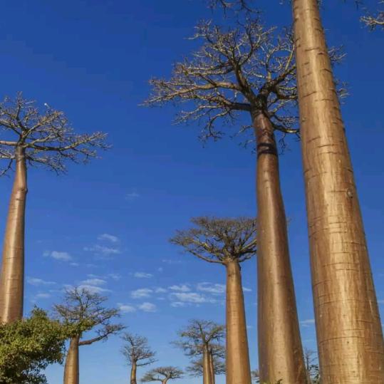 没有想好叫什么