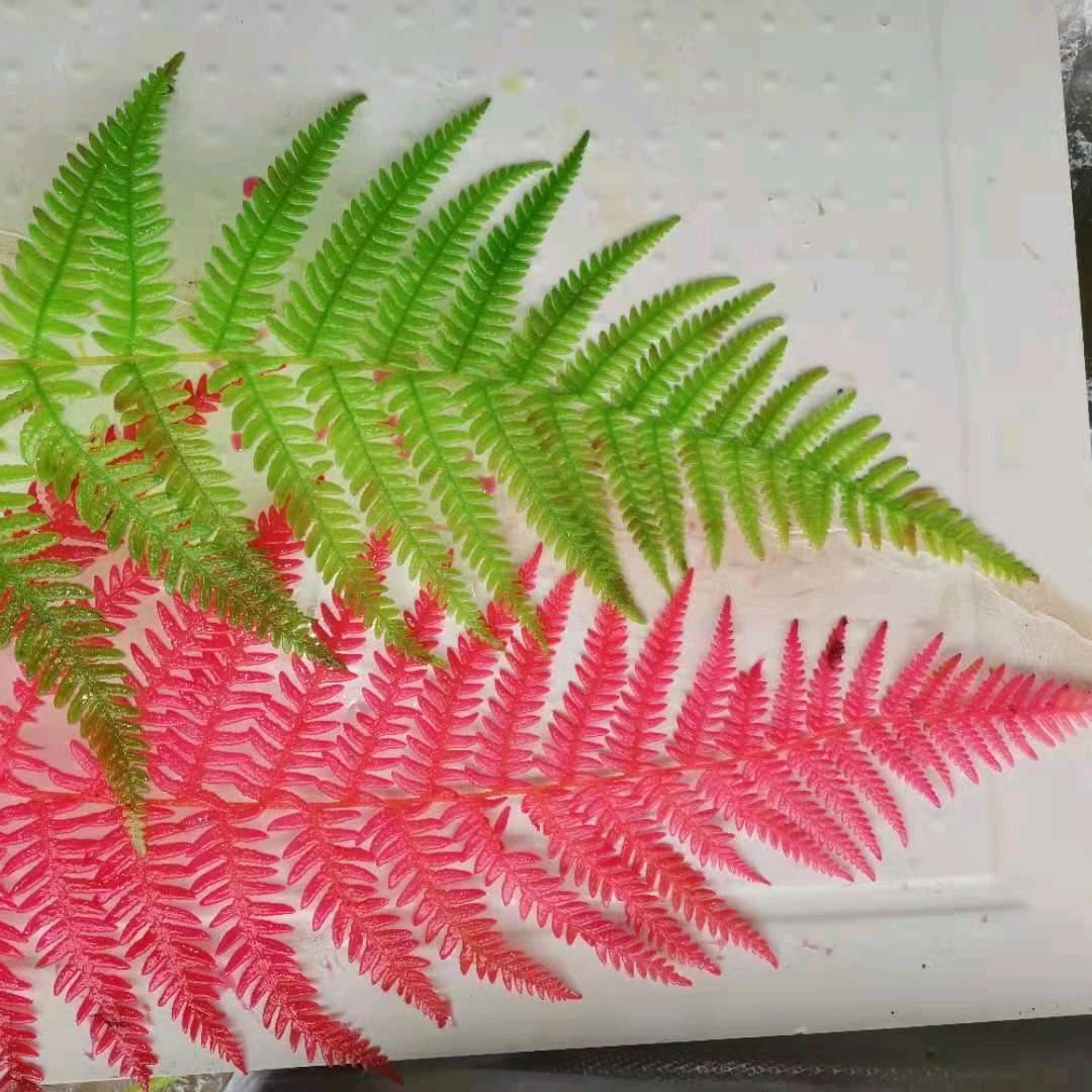 千千永生花