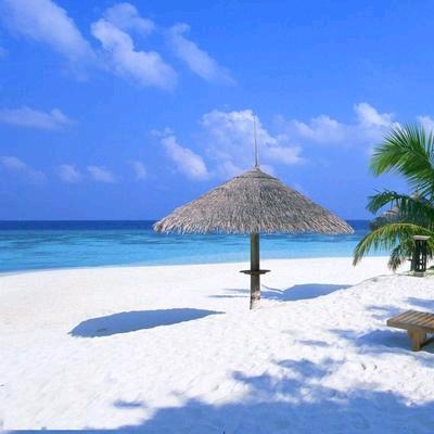 海岛小屋小百科咨询