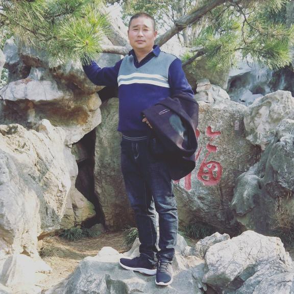 常年收猪:周高明