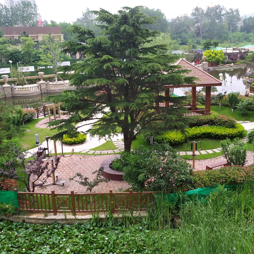 🇨🇳中国必胜🇨🇳