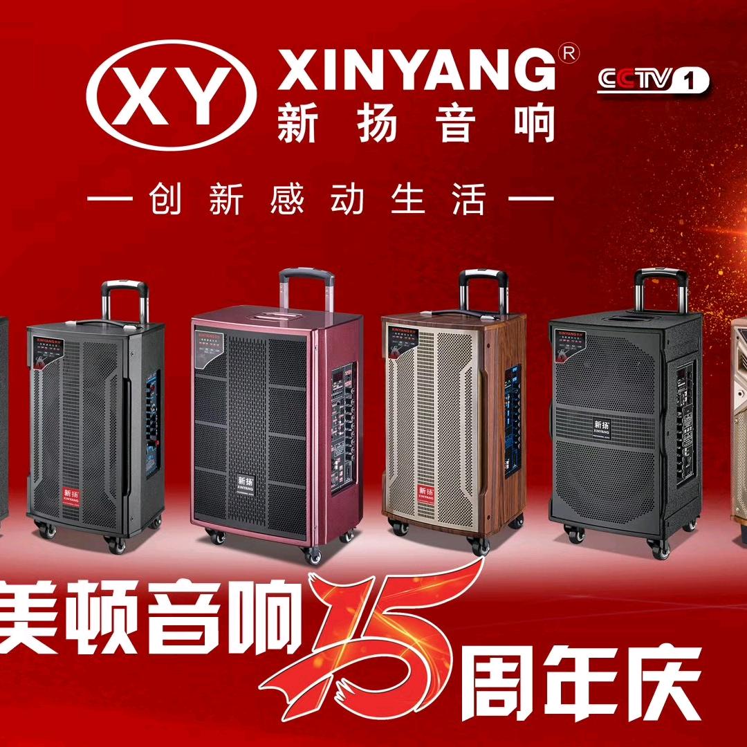 新扬音响