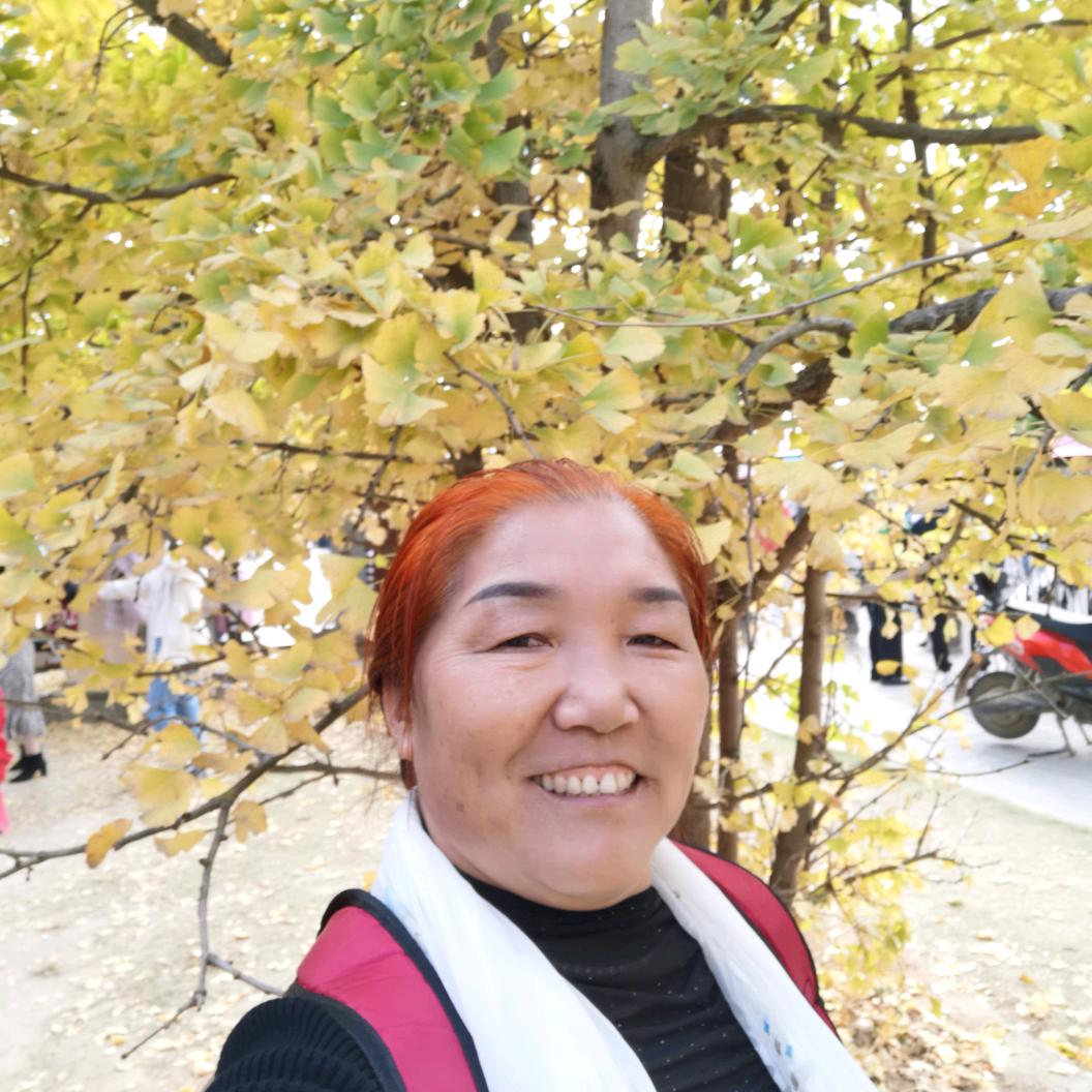 用户莹莹