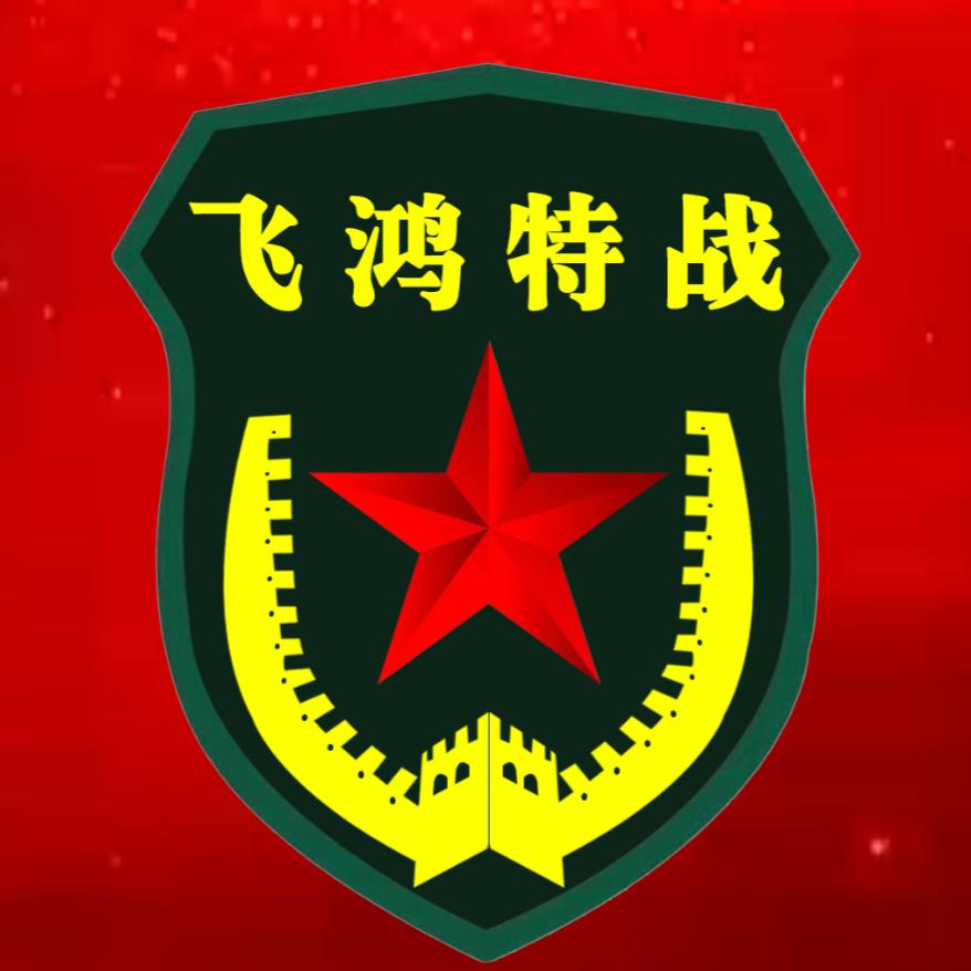 飞鸿特战