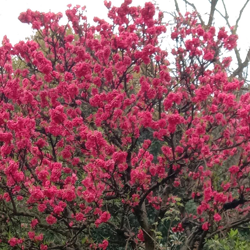 湘毅