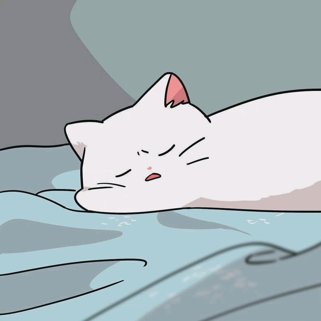 天天开心
