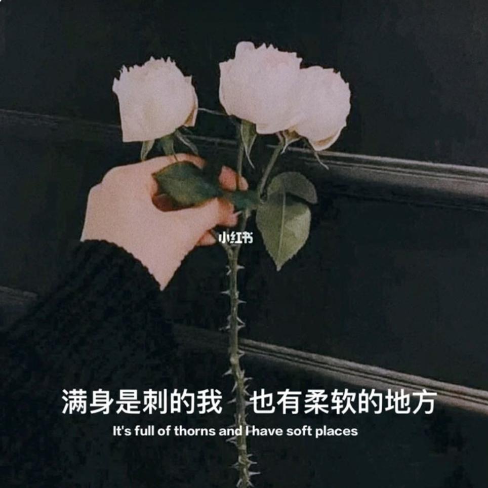 通讯录好友*^O^*