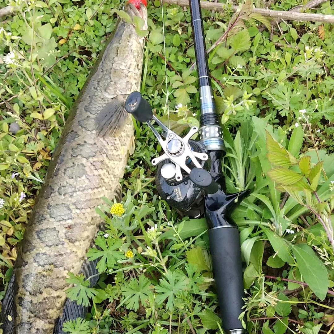 ξ   🚬ཀོ搞ཽ钱ꦿ࿐