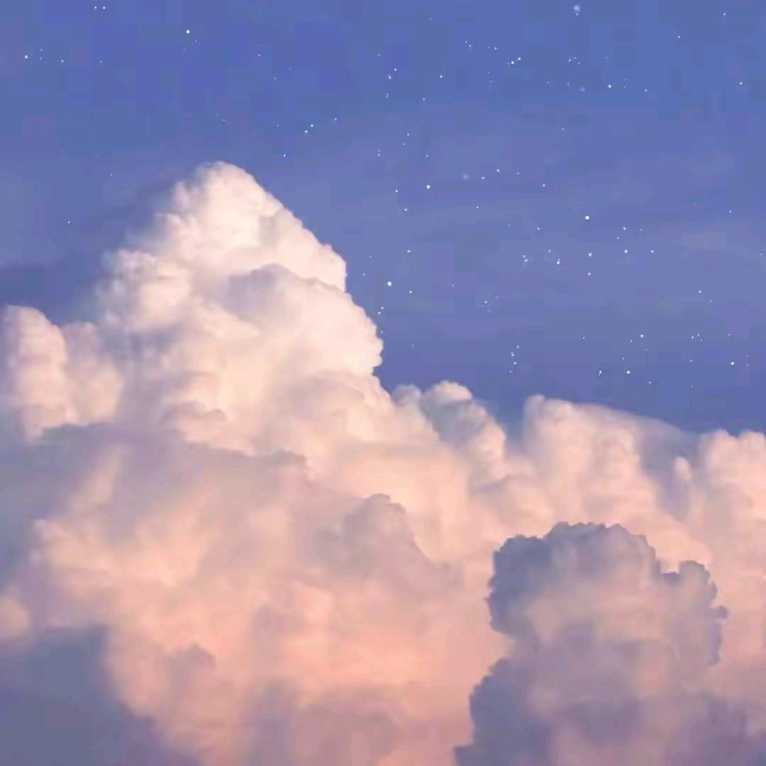 .𝑪𝒂𝒏𝒅𝒚.