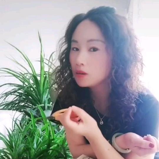 🌻兵妈妈👩👩