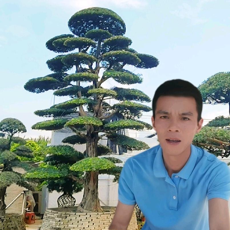 阿毛种植分享（艺松坊园艺）