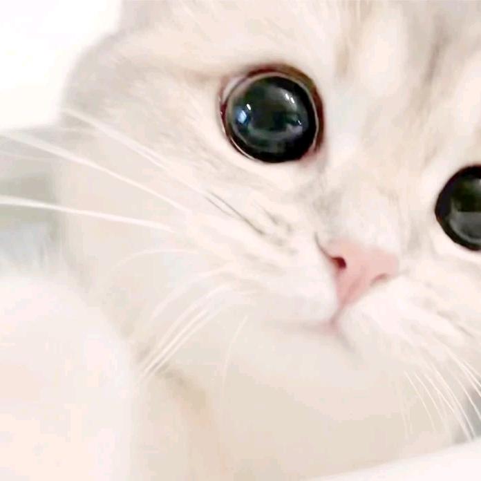 小̕艾