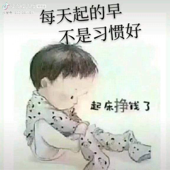 会飞的鱼