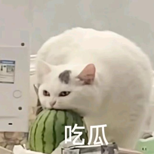 无敌Dab
