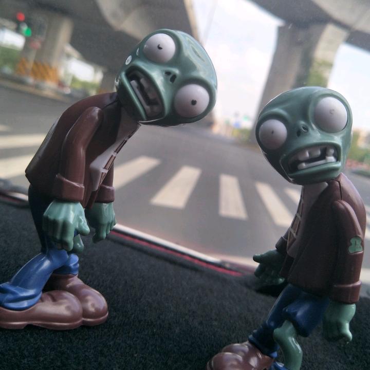 Q