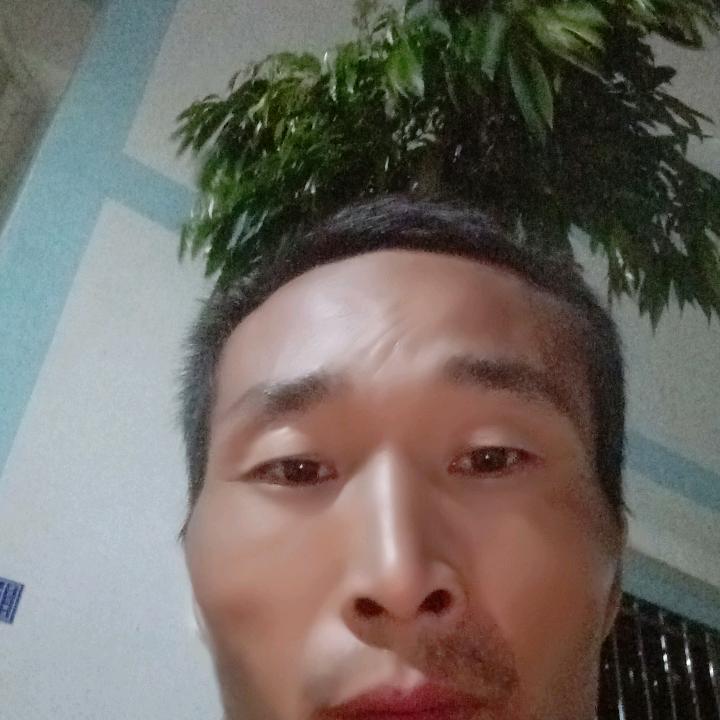 阳光总在风雨后