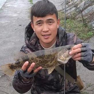 不打龟的小马哥