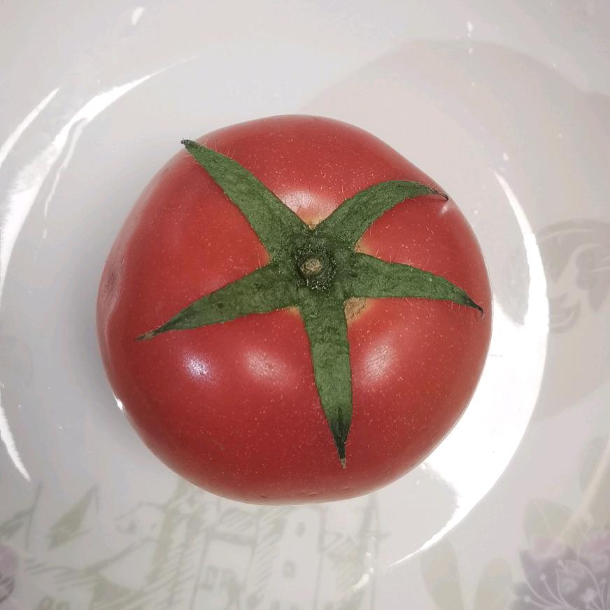 番茄的茄