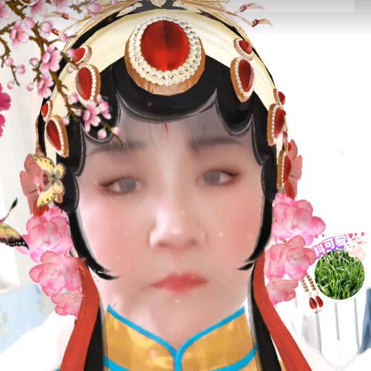 他开心心每一天