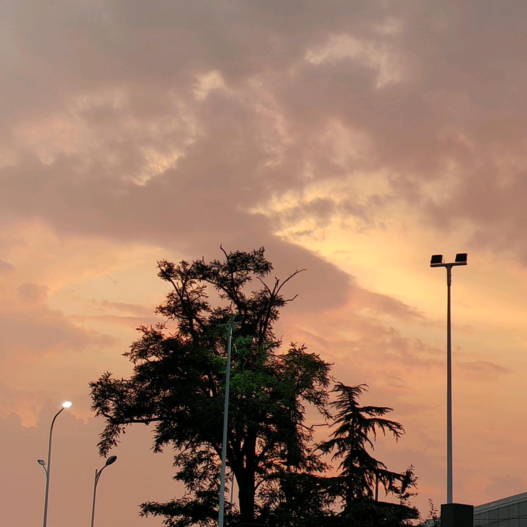 拾破爛的小乞丐